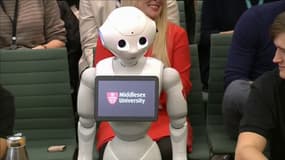 Face à des députés, un robot vient faire un leçon d'intelligence artificielle