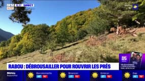 Hautes-Alpes: débroussailler pour rouvrir les prés