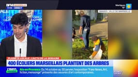 Planète Locale du mercredi 27 novembre - 400 écoliers marseillais plantent des arbres