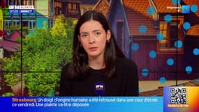 Bonjour Alsace du lxundi 24 novembre 2025