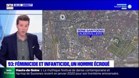 Féminicide et infanticide en Seine-Saint-Denis: un homme écroué pour meurtres
