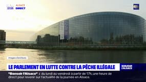 Strasbourg: le Parlement européen lutte contre la pêche illégale