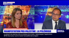Manifestation pro-Palestine: la Ville de Nice demande son interdiction