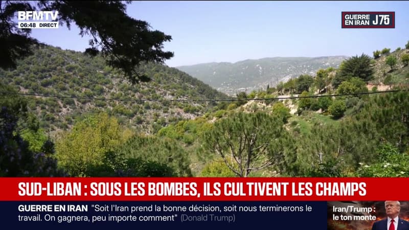 Guerre au Moyen-Orient: au Sud-Liban, ils continuent de cultiver les champs sous les bombes