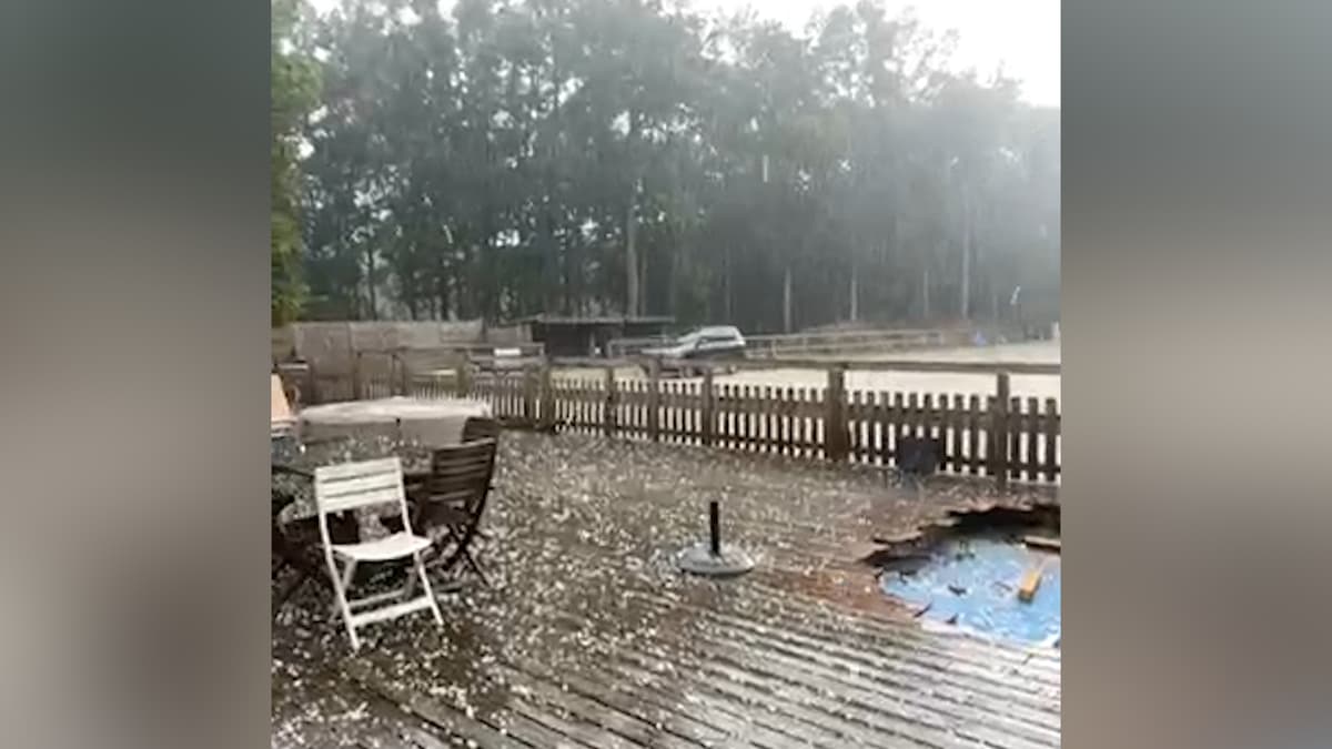 placeholder video