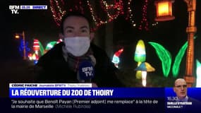 La partie safari du zoo de Thoiry, qui se découvre en voiture, rouvre ce mercredi