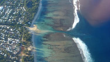 Parabole concurrence Canal à la Réunion depuis 1999