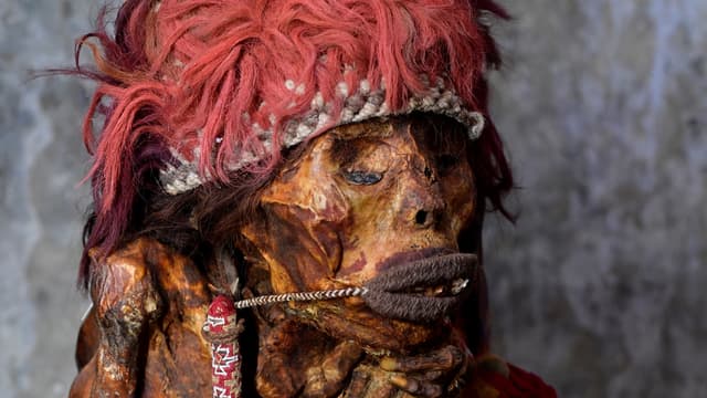 La momie incas présentée au parc zoologique Pairi Daiza, le 13 juillet 2020, présentée comme celle ayant inspiré à Hergé le personnage de Rascar Capac, dans "Tintin et les sept boules de cristal.