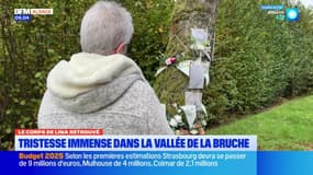 Banque alimentaire: 40 ans d'engagement en Alsace