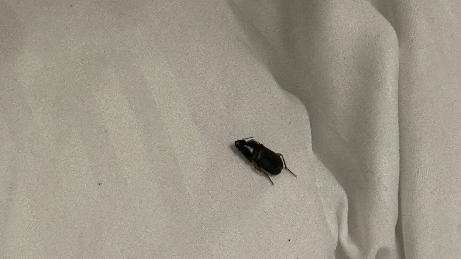 La chambre de Sara Carakevic lors de son tournoi en Roumanie La chambre de Sara Carakevic lors de son tournoi en Roumanie