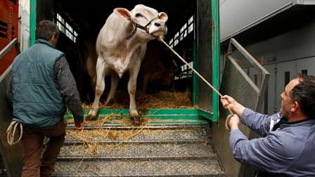 Le ministre français de l'Agriculture Bruno Le Maire a annoncé mardi un plan d'aide de 300 millions d'euros sur trois ans en faveur des éleveurs, qui subissent une hausse des coûts et de faibles prix de vente. /Photo d'archives/REUTERS/Benoît Tessier