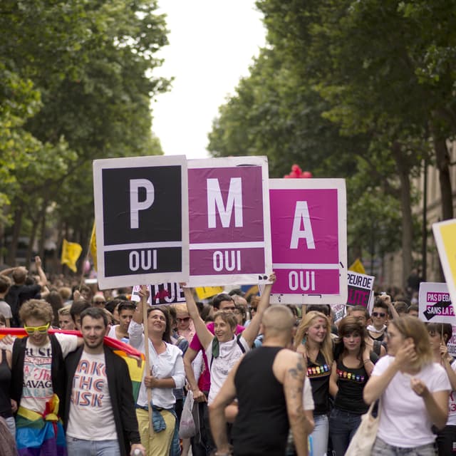 Des manifestants en faveur de l'ouverture de la procréation médicalement assistée (PMA) à toutes les femmes, lors de la Marche des fiertés LGBT à Paris, le 29 juin 2013.