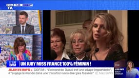 Stéfi Celma, Adriana Karembeu, Nolwenn Leroy... Le jury Miss France 2024 composé uniquement de femmes 
