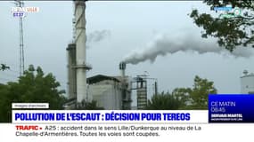 Pollution de l'Escaut: la décision du procès contre Tereos attendue ce jeudi