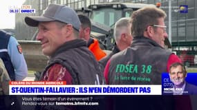 Des agriculteurs se sont mobilisés mercredi à Saint-Quentin-Fallavier