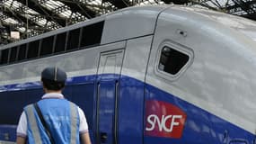 Un TGV en gare de Paris gare de Lyon, le 16 juin 2014.
