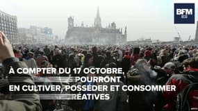 Le Canada devient le 2ème pays du monde à légaliser le cannabis 