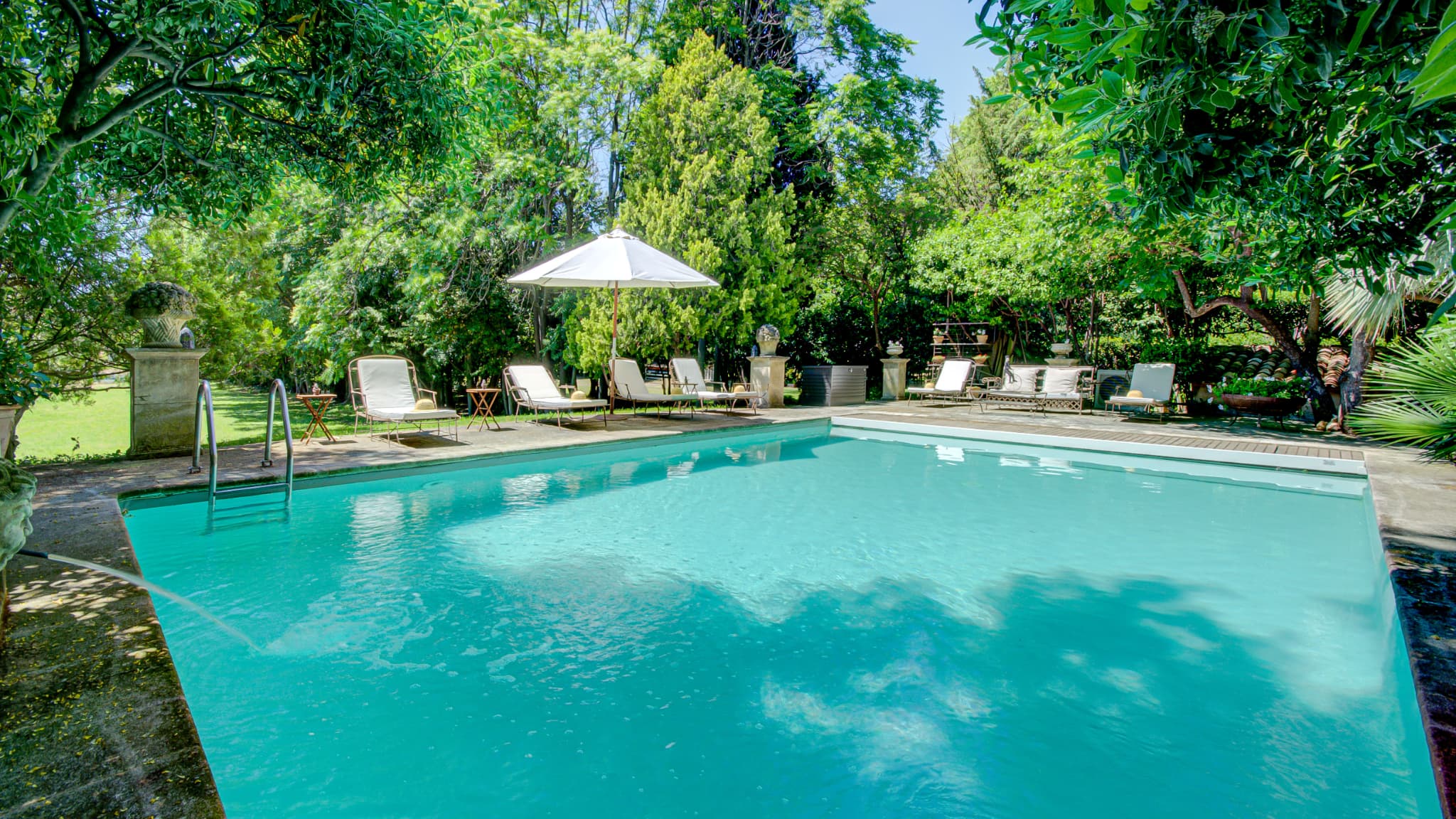Vue de la piscine entourée d'arbres et baignée de lumière. 