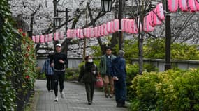 Des personnes marchent le long de la rivière Kanda alors que des cerisiers en fleurs et des lanternes décorent la promenade dans le centre de Tokyo (Japon), le 31 mars 2025. (Photo d'illustration)