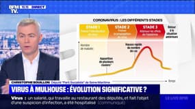 Virus à Mulhouse: évolution significative ? - 06/03