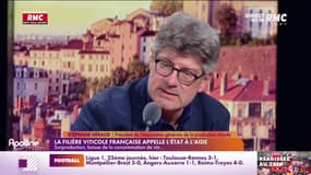 Héraud : "On cumule un tas d'éléments qui fait que certains viticulteurs sont en dangers"