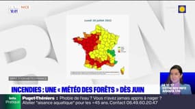 Côte d'Azur: une météo des forêts dès cet été pour prévenir les risques d'incendie