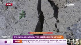 Pyrénées-Orientales: "pas assez d'eau pour tous" 