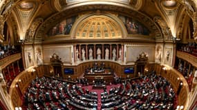 Les membres du Sénat réunis en session, le 2 avril 2024 à Paris