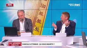 Canicule attendue : Ça vous inquiète ? Le ras-le-bol de Willy Schraen