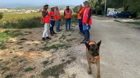 Les chiens détectent les fuites d'eau dans les canalisations à La Crau grâce aux émanations de chlore.