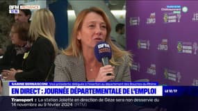 Le département des Bouches-du-Rhône organise la Journée départementale de l'emploi