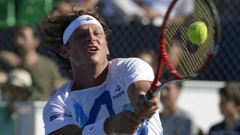David Nalbandian, à Buenos Aires le 23 novembre 2013
