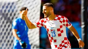 N. Vlasic