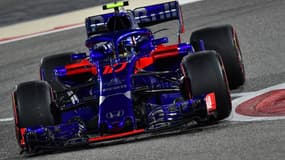Pierre Gasly