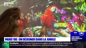 Ariane a testé le restaurant immersif : Jungle Palace !