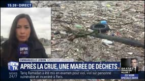 Crue de la Seine: 200 tonnes de déchets retenues dans les Yvelines