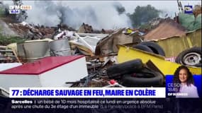 Seine-et-Marne: les pompiers toujours mobilisés sur le feu de décharge sauvage à Nemours