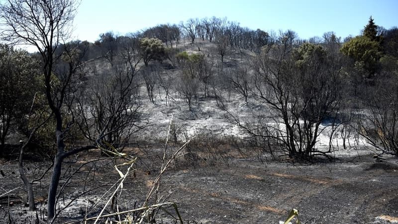 Les incendies sont fréquents dans le département pendant la période estivale. (illustration)