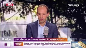 RMC s’engage pour vous : Un chêne bicentenaire menacé à Castelnau-le-Lez - 04/08