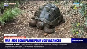 Var: nos bons plans pour vos vacances