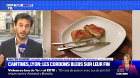 Cantines à Lyon : Pour le conseiller délégué à l'alimentation locale, "on se focalise sur le cordon bleu mais il y a une vraie politique alimentaire derrière"