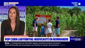 Normandie: deux nouveaux labyrinthes dans les champs de maïs 