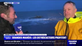 "Ça nous permet d'accéder à nos parcs [à huîtres] qui sont le plus au large": les grandes marées profitent aux ostréiculteurs