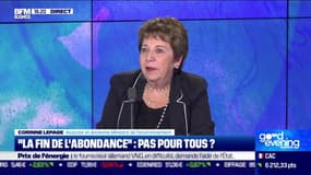 “La fin de l’abondance” : 'c’était indécent" (Corinne Lepage)