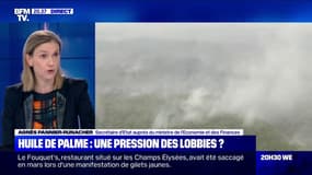 Réduction fiscale pour l'huile de palme: Agnès Pannier-Runacher dénonce "cette tendance facile d'opposer industrie et écologie"