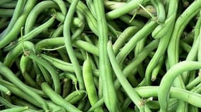 En trouvant une souris dans sa boîte de haricots verts, Antoine a eu l'impression d'être "souillé". (photo d'illustration)