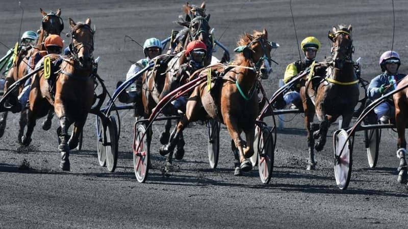 Des trotteurs en piste