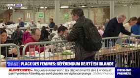 Irlande: victoire du "non" au référendum pour supprimer de la Constitution la notion de mère au foyer et élargir la définition de la famille