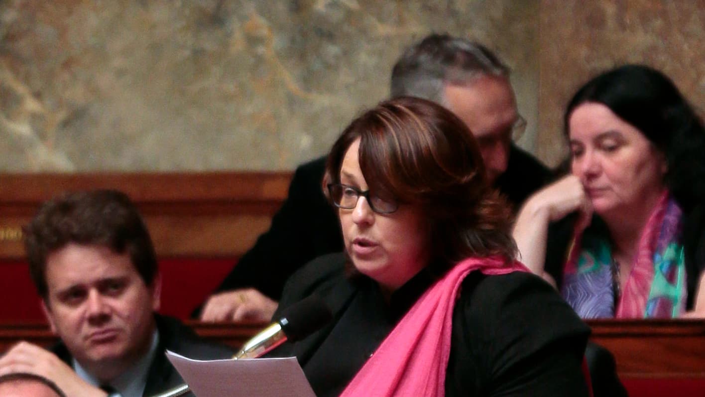 Sophie Errante à l'Assemblée nationale en janvier 2014 Sophie Errante à l'Assemblée nationale en janvier 2014