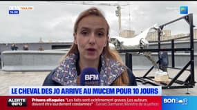 JT du Sud du mardi 15 avril